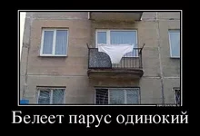 белеет.jpg