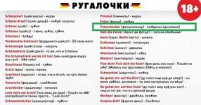 1572777227_korzik_net_2019-11-02-12-03-041.webp