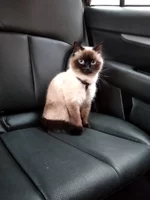 IMG_20190809_182629.webp IMG_20190809_182629.webp