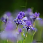 DSC_3821L.webp