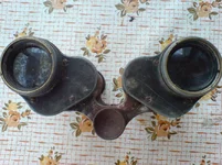 DSC00527.webp