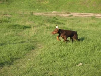 001.webp