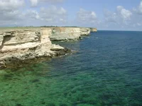 DSC02790_.webp