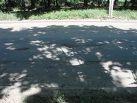 3b.webp