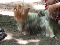 P5303360.webp