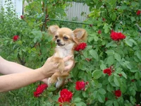 DSC02745.webp