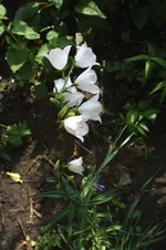 IMG_2764_1.webp