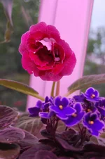 DSC_3147.webp
