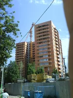 2.webp