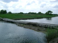 DSC05534.webp