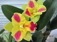 IMG_0971.webp