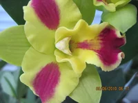 IMG_0973.webp