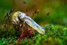 DSC35147.webp