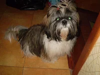 P2010030.webp