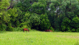 DSC01027-2.jpg