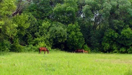 DSC01027-2.jpg