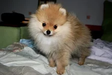 x_2a71c257.webp