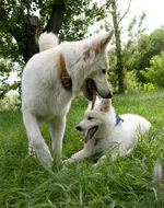 may2010_bbt_web-13.webp