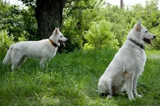 may2010_bbt_web-9.webp