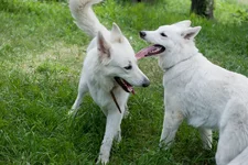 may2010_bbt_web-5.webp