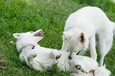 may2010_bbt_web-3.webp