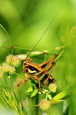 DSC35416c.webp