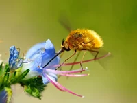 DSC35655с.webp