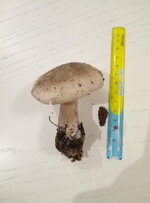P91107-181647.jpg