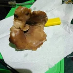 IMG-5600267bdd70b246ee99b79809a89c08-V.webp