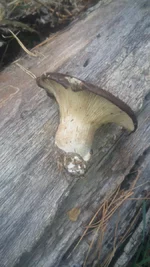 20191102100513.jpg