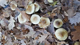 20191114_133145.webp