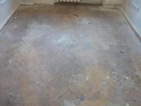DSCF6266.webp
