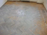 DSCF6267.webp