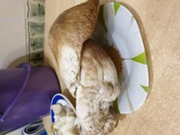20191116_162815.webp