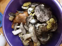 20191116_143905.webp