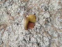 20191116_091452.webp
