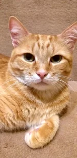 20191118_200319.webp