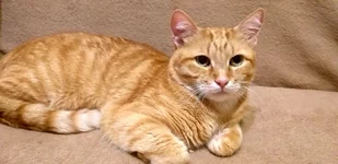 20191118_200245.jpg