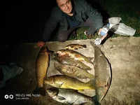 IMG-55319972d6048c05c8678960337bce7f-V.webp