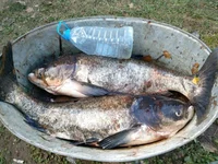 IMG-28d759bd850f9ffe7ef07c48bdbcd255-V.webp