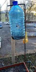 IMG_20191125_090212.jpg