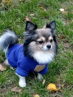  в синем 10_2019.webp