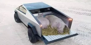 FB_IMG_1574844229764.webp FB_IMG_1574844229764.webp