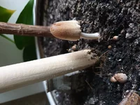 20191130_120152.webp