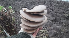 20191130_124121.webp