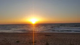 20190529_050636.webp