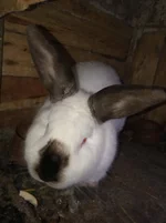 IMG_20191119_152117.webp