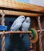 IMG_20191127_181000.webp