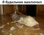 65258265_438794916961141_8468558738905628672_n.webp