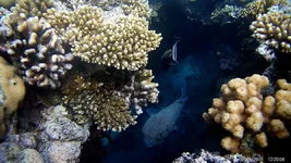 FHD0708-0-04-13-822.jpg